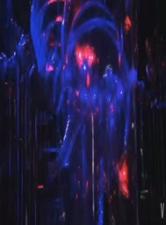 【大尺度私藏】王动WANIMAL 2019年2月极品嫩模私房特辑：174张高清套图 17部诱惑视频全套完整版