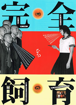 禁室培欲：密室囚禁强制调教性奴实录