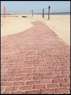 沙滩美人鱼勾引路人：哥哥，你活好不好呀，冷死我啦，逼逼好痒。 男：啊啊啊快射了，射里面吗···太刺激了